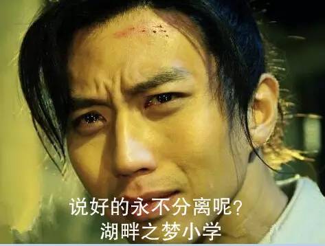 湖畔之梦国际学校,湖畔之梦小学学费