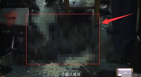 新闻FAN|顺手牵了个编织袋过海关谁也没猜到结局是！