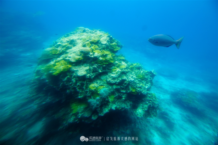 魅力宫古蓝，南行宫古岛之旅