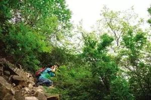 西青被发现有撒*药迷**团伙？警方回应系谣言