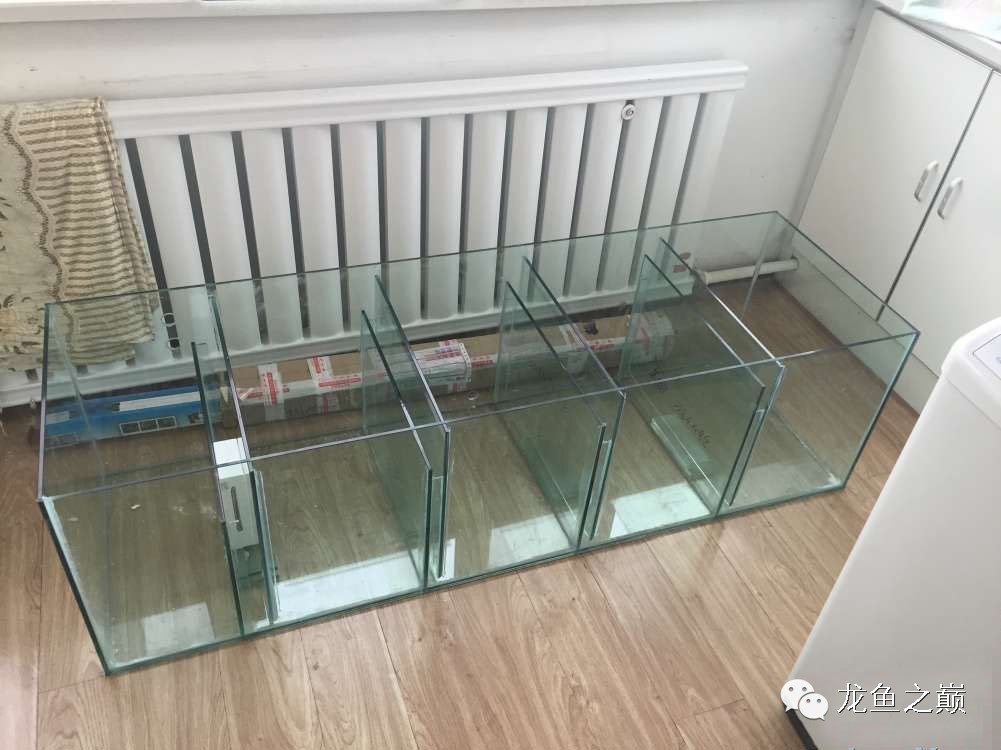 开启人生第二个阶段,开启人生中的第三年