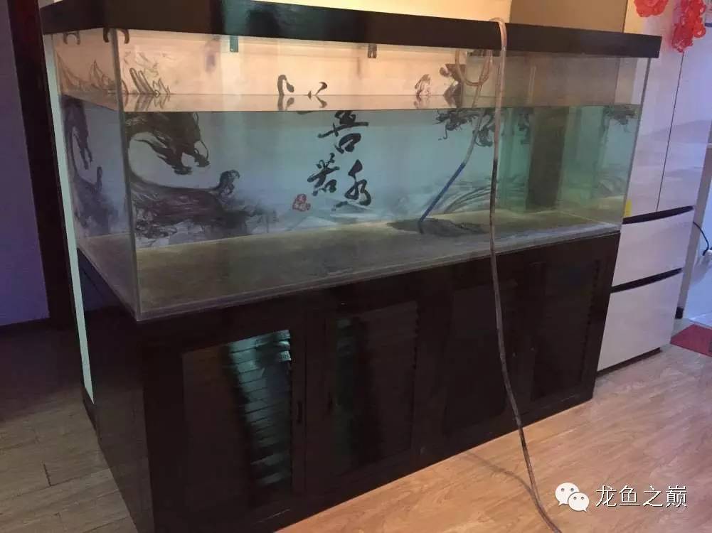 开启人生第二个阶段,开启人生中的第三年