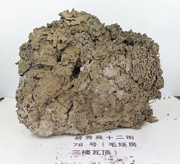 白蚁防治是怎么搞的,快速白蚁防治的有效方法