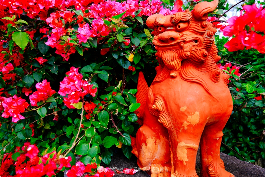 魅力宫古蓝，南行宫古岛之旅