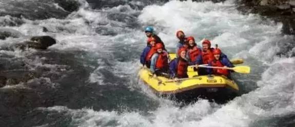 来新西兰必买的东西,来新西兰