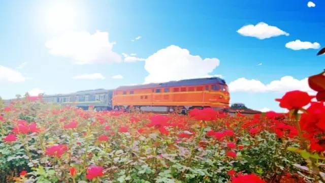 佛山地铁28号线通南海人民医院吗,未来的佛山地铁