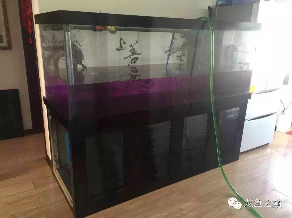 开启人生第二个阶段,开启人生中的第三年