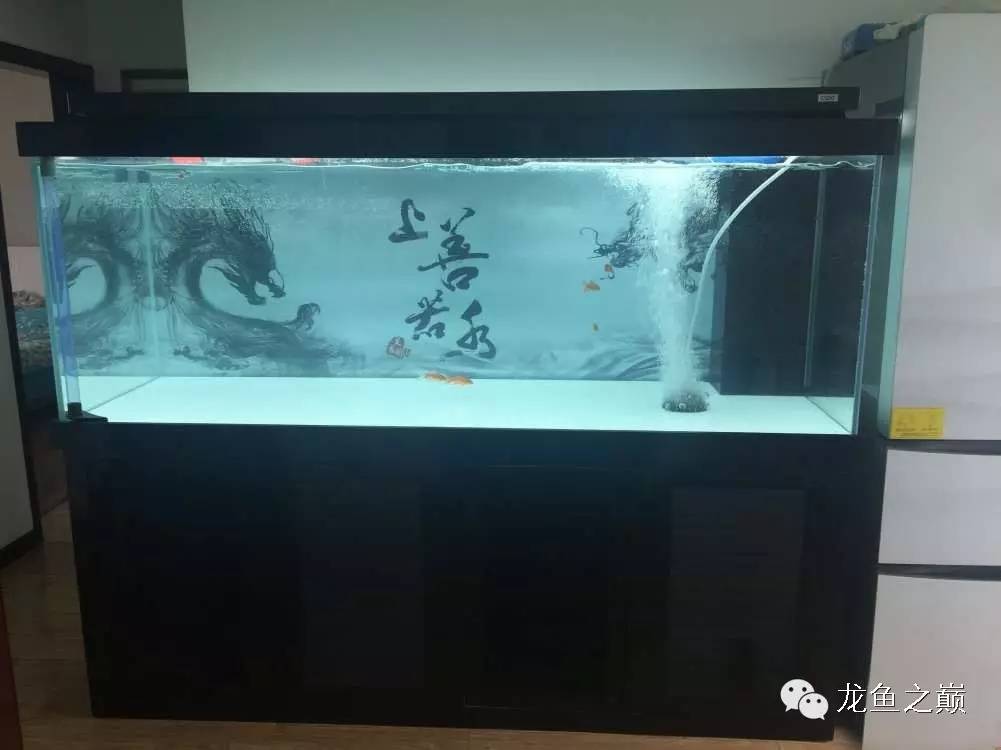 开启人生第二个阶段,开启人生中的第三年