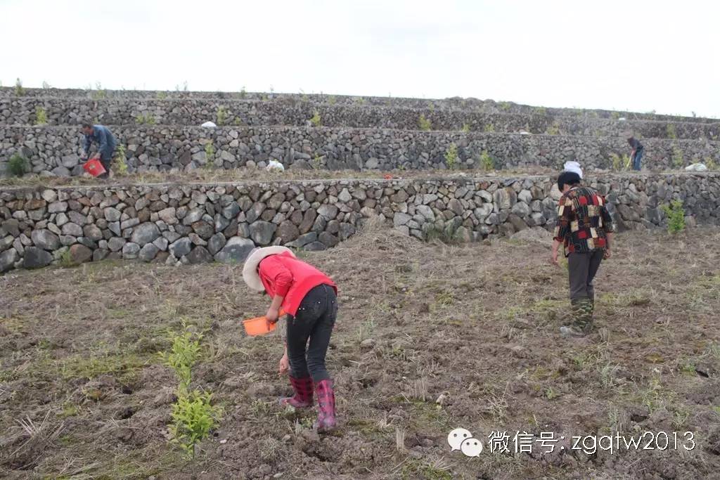 致富经7000万养羊完整版,致富经200万养牛完整视频