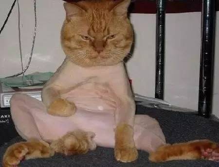 新闻FAN|顺手牵了个编织袋过海关谁也没猜到结局是！