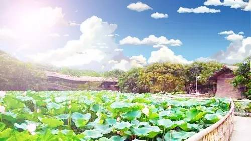 佛山地铁28号线通南海人民医院吗,未来的佛山地铁