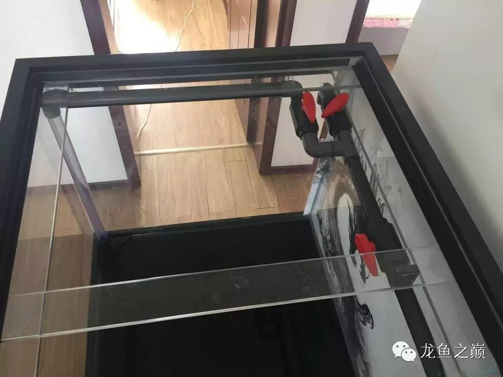 开启人生第二个阶段,开启人生中的第三年