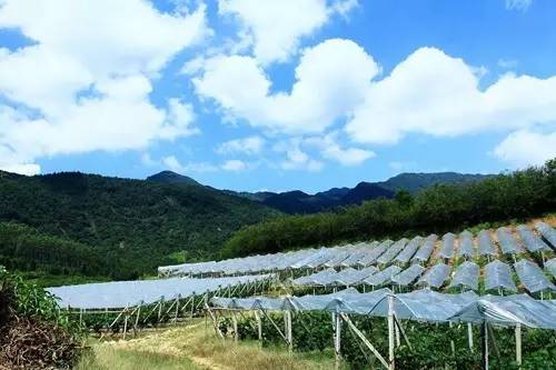 据说,江西人有了这条微信,就可以在韶关打开“仙境之门”!