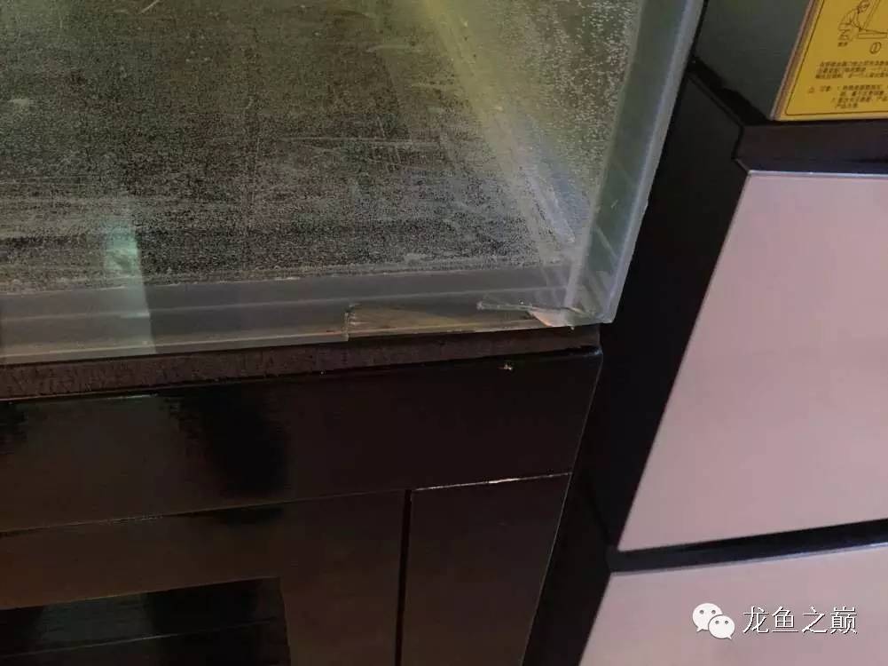 开启人生第二个阶段,开启人生中的第三年