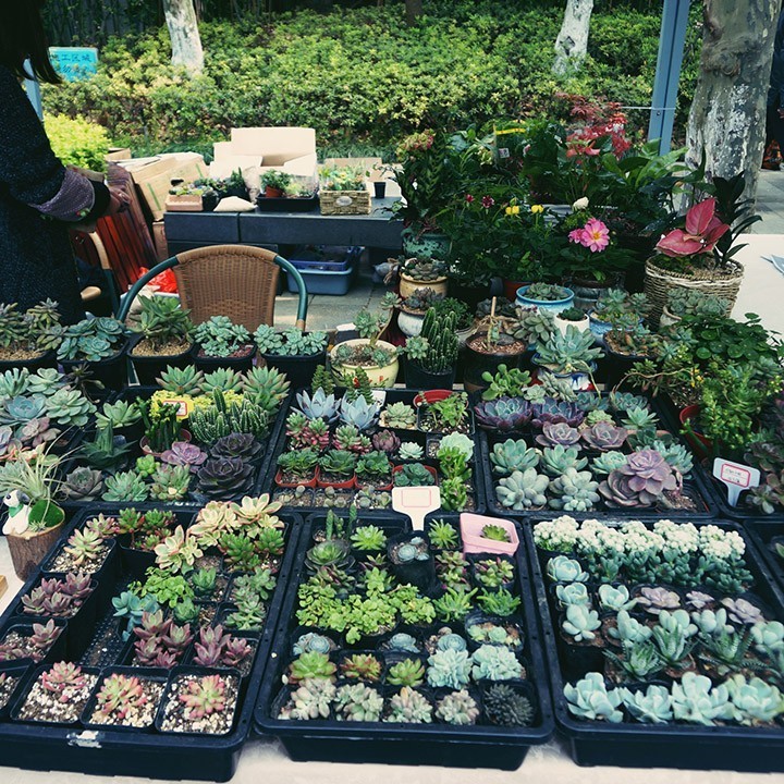 鱼说|美女空姐のLadyfest：一场从403漂流到武汉天地的文艺市集