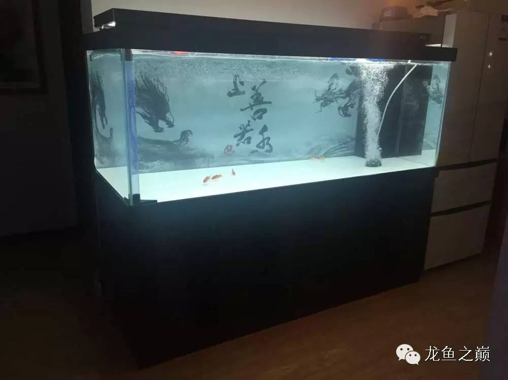 开启人生第二个阶段,开启人生中的第三年