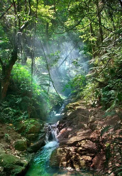 据说,江西人有了这条微信,就可以在韶关打开“仙境之门”!