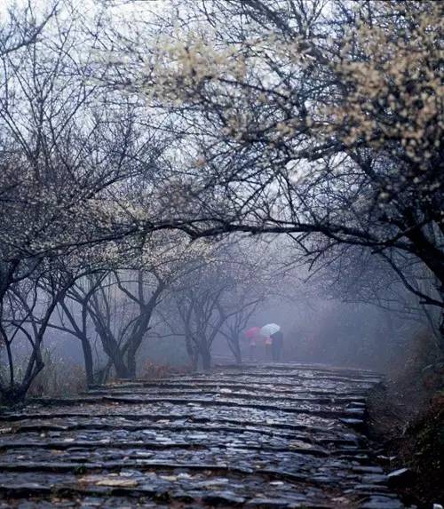 据说,江西人有了这条微信,就可以在韶关打开“仙境之门”!