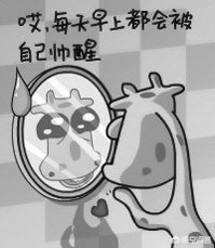 照镜子跟真实长相差距多大冷知识,照镜子是真实长相吗