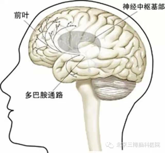 帕金森病（震颤麻痹）及其治疗