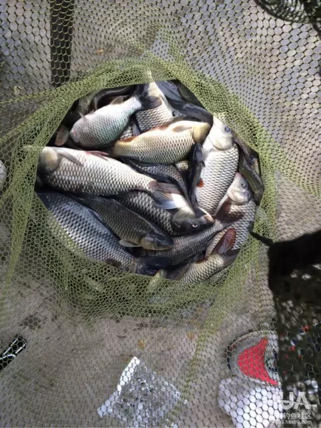 2016年野钓全攻略,2022钓友第一次钓鱼