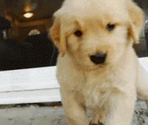 一个大写的字母,一个大写的字