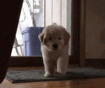 一个大写的字母,一个大写的字