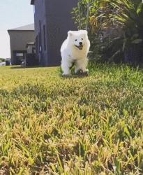 一个大写的字母,一个大写的字