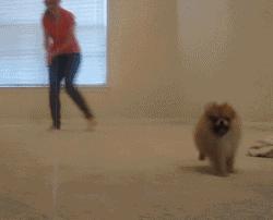 一个大写的字母,一个大写的字