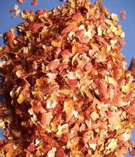 金银花功效与作用,林银花的功效和作用