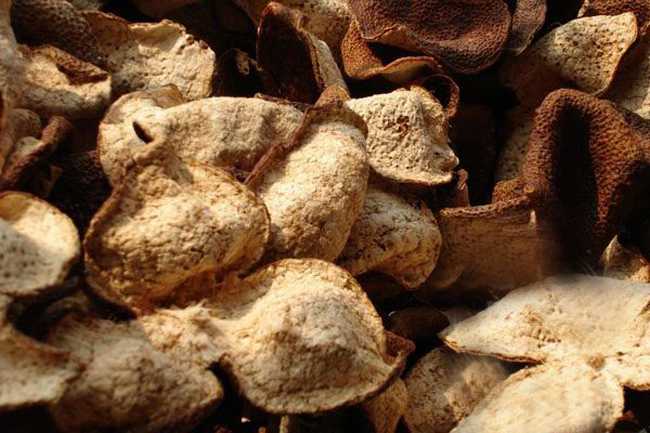 金银花功效与作用,林银花的功效和作用