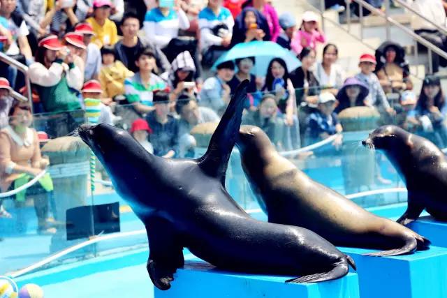 冬天青岛有什么好玩的地方,青岛冬天好玩儿的地方