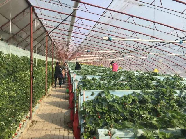 冬天青岛有什么好玩的地方,青岛冬天好玩儿的地方