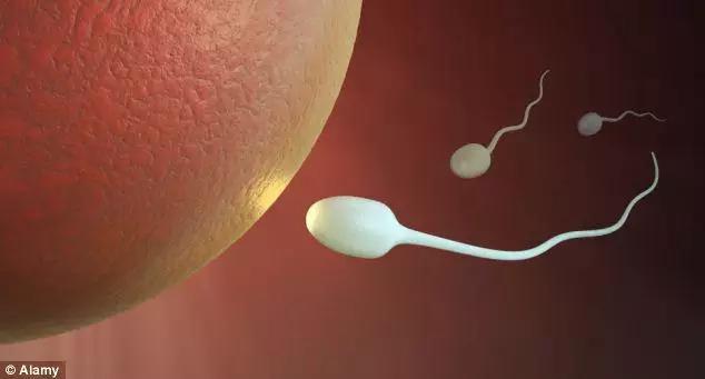 女性生育能力强不强?看这4个部位!