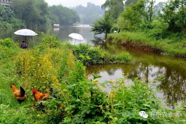 曾经|结伴跑在乡间小路上，跑过了整个童年~~