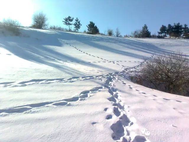 曾经|结伴跑在乡间小路上，跑过了整个童年~~