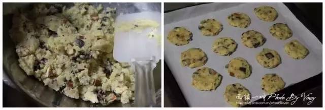 烘焙入门的16种好吃的曲奇饼干,烘焙新手怎么做饼干