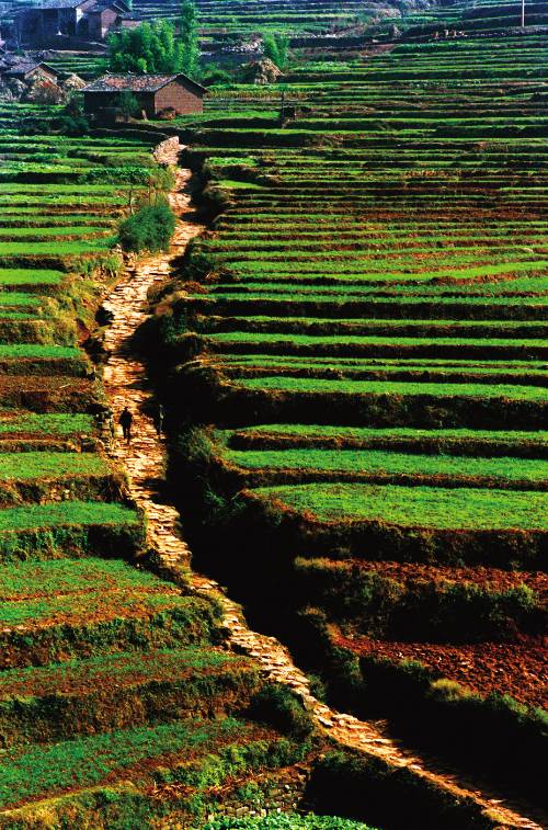 浜戣吙涔嬩埂,浜戣吙涔嬩埂瀹ｅ▉