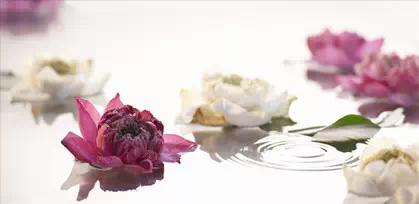 鎰熷啋鍜界値鍜冲椊鍚冧粈涔堣嵂,涓婄伀鎰熷啋鍜冲椊鍚冧粈涔堣嵂