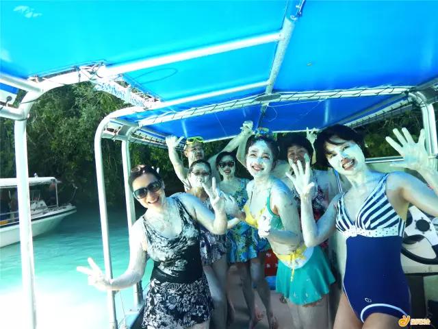 帕劳潜水之旅第三集,帕劳潜水之旅第二部