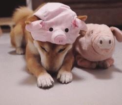 想必手感一定很赞！