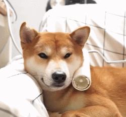 想必手感一定很赞！