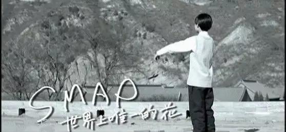 smap为什么解散,smap解散时间