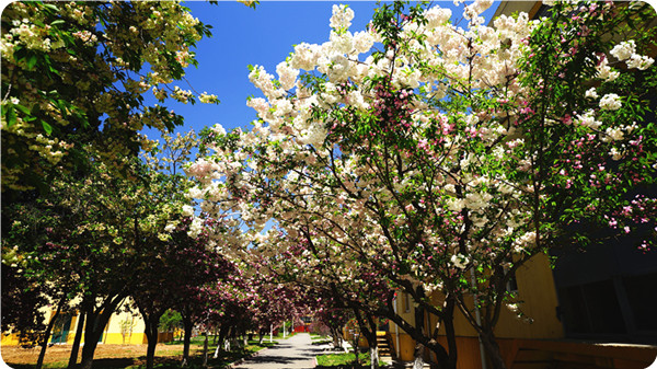 俞敏洪谈大学生为什么要读书,俞敏洪在学校