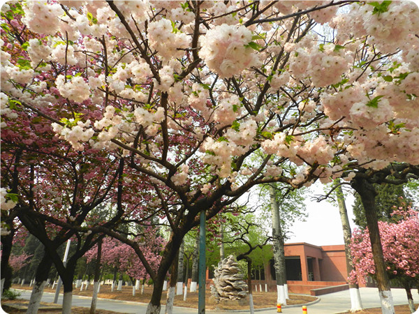 俞敏洪谈大学生为什么要读书,俞敏洪在学校