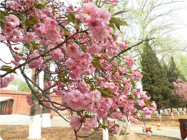 俞敏洪谈大学生为什么要读书,俞敏洪在学校