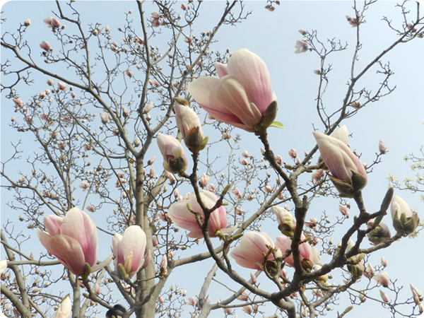 俞敏洪谈大学生为什么要读书,俞敏洪在学校