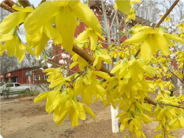 俞敏洪谈大学生为什么要读书,俞敏洪在学校