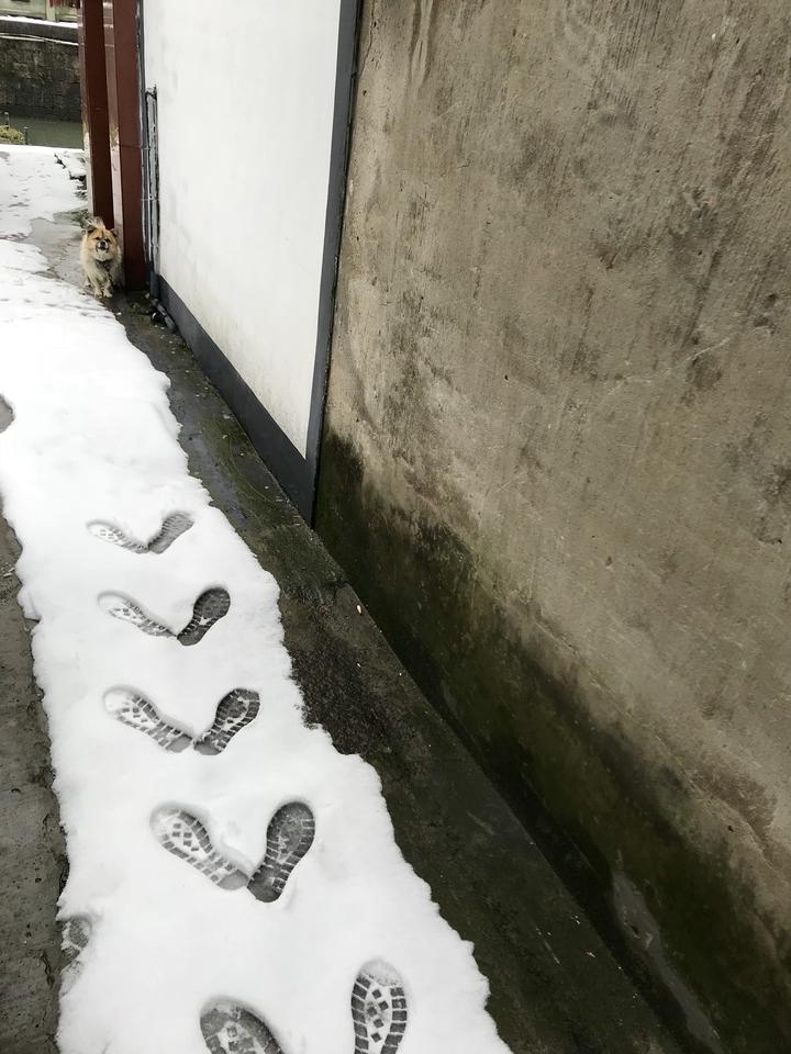 2022年西兴老街会拆吗,杭州正在改造的老街