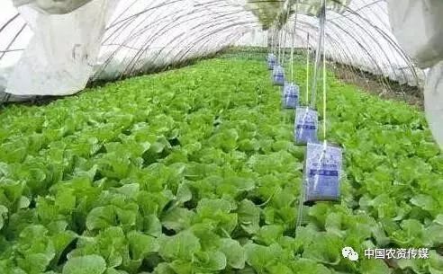 不太理解二氧化碳用什么方法解决,二氧化碳浓度低怎么补最有效